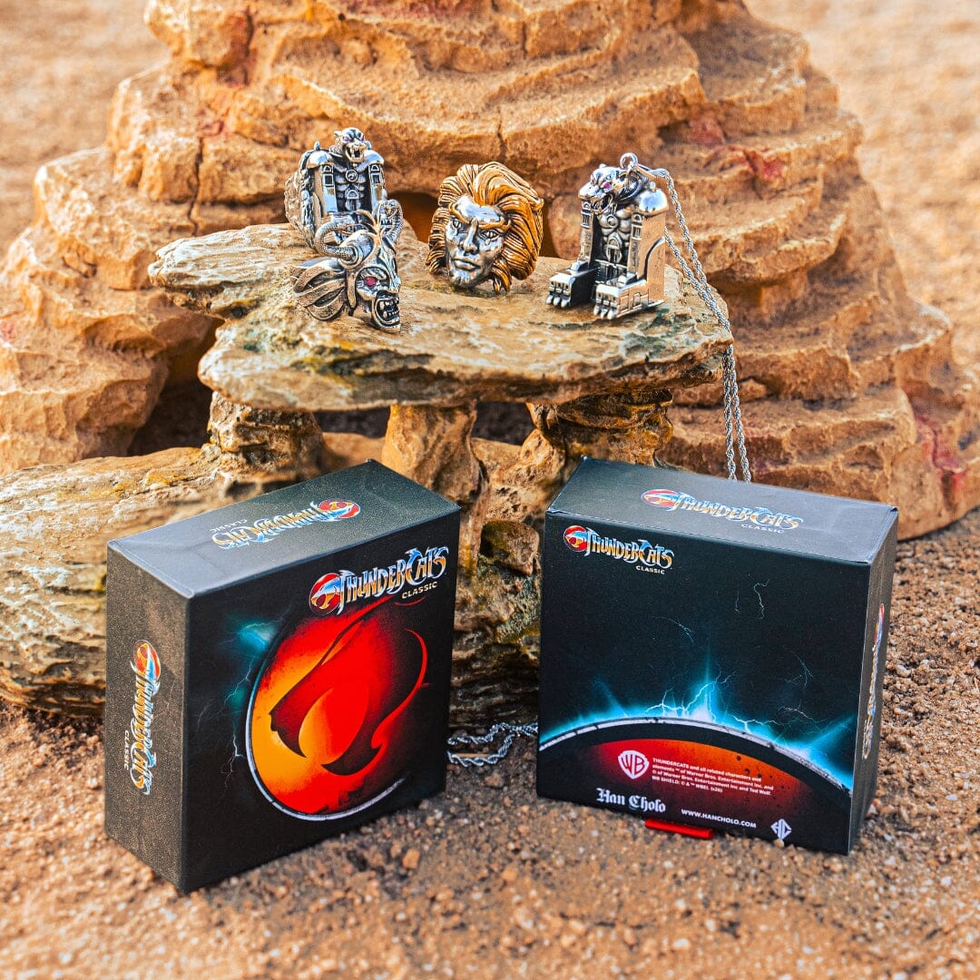 Han Cholo ThunderCats collection and packaging