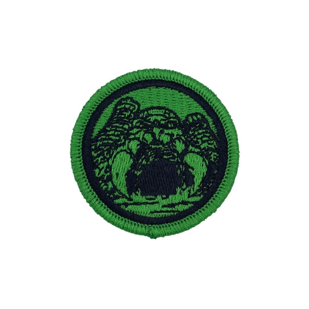 castle grayskull, motu merch, castle grasyskull patch, green patch, officially licensed patch, motu