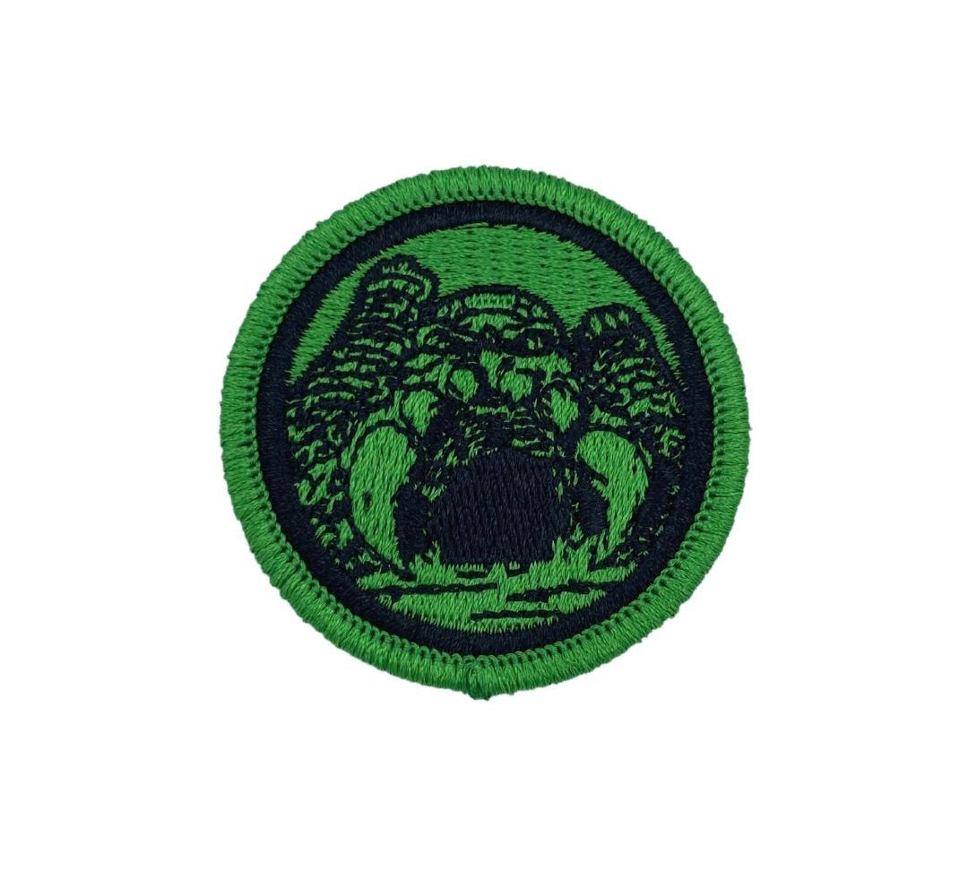 castle grayskull, motu merch, castle grasyskull patch, green patch, officially licensed patch, motu