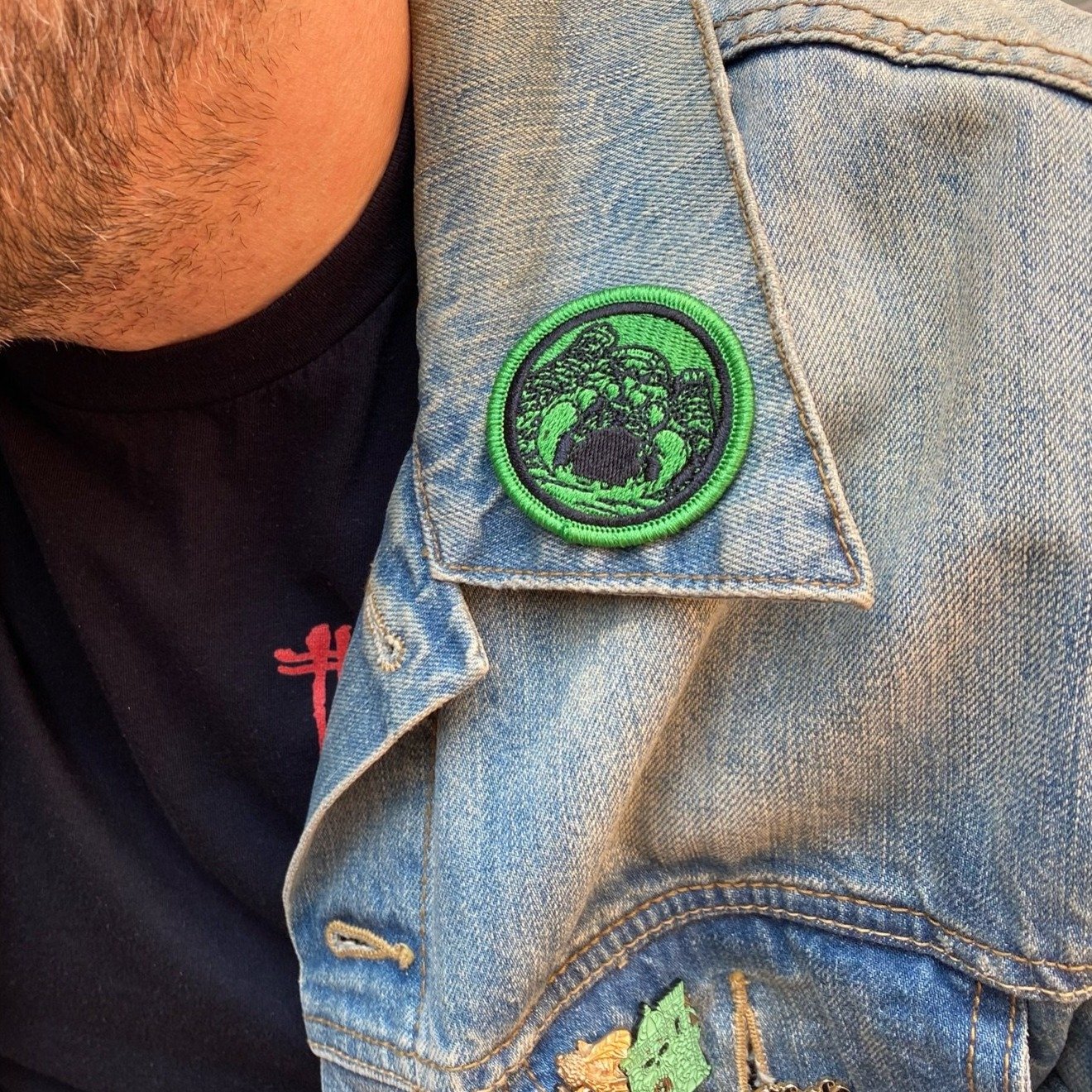 castle grayskull, motu merch, castle grasyskull patch, green patch, officially licensed patch, motu