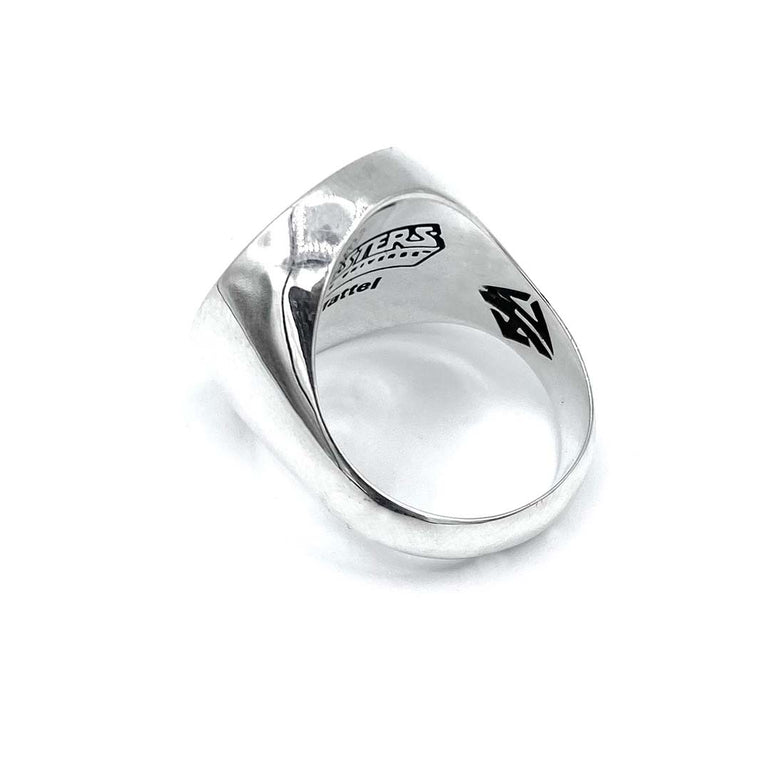 motu, masters of the universe ring, skeletor acessories, motu merch, skeleton ring