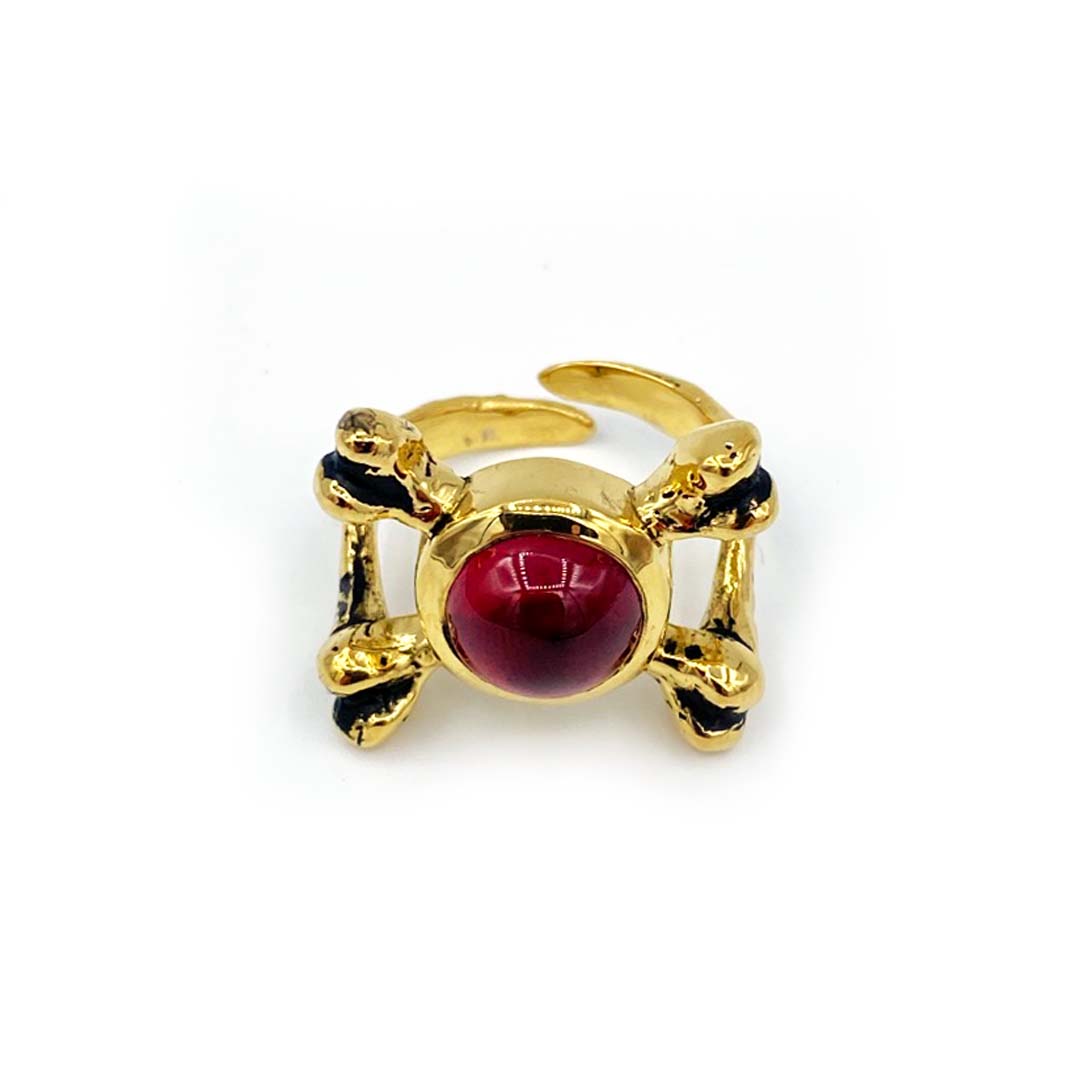 skeletor merch, skeletor gift, skeletor gold armor ring with red stone