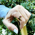 She-Ra Evolution Ring, she-ra netflix, she-ra and the princesses of power, she-ra season 5, adora