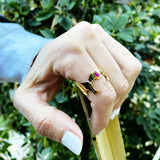 She-Ra Evolution Ring, she-ra netflix, she-ra and the princesses of power, she-ra season 5, adora