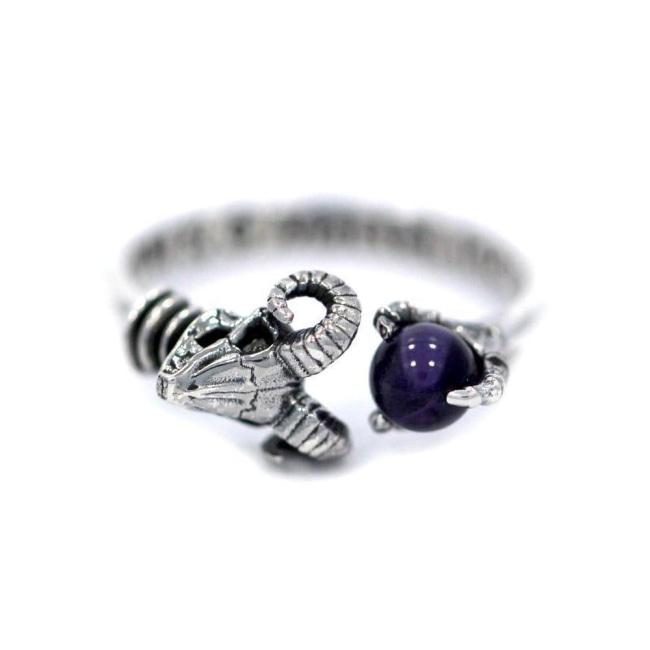 front of the Skeletor havoc Ring in silver from the masters of the universe jewelry collection